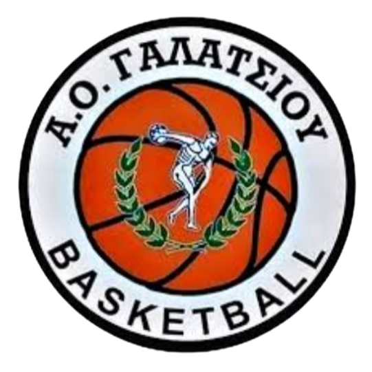 https://img.htsyyb.com/img/basketball/team/99aa3f28c95a20cc802a5f1a5af87719.png